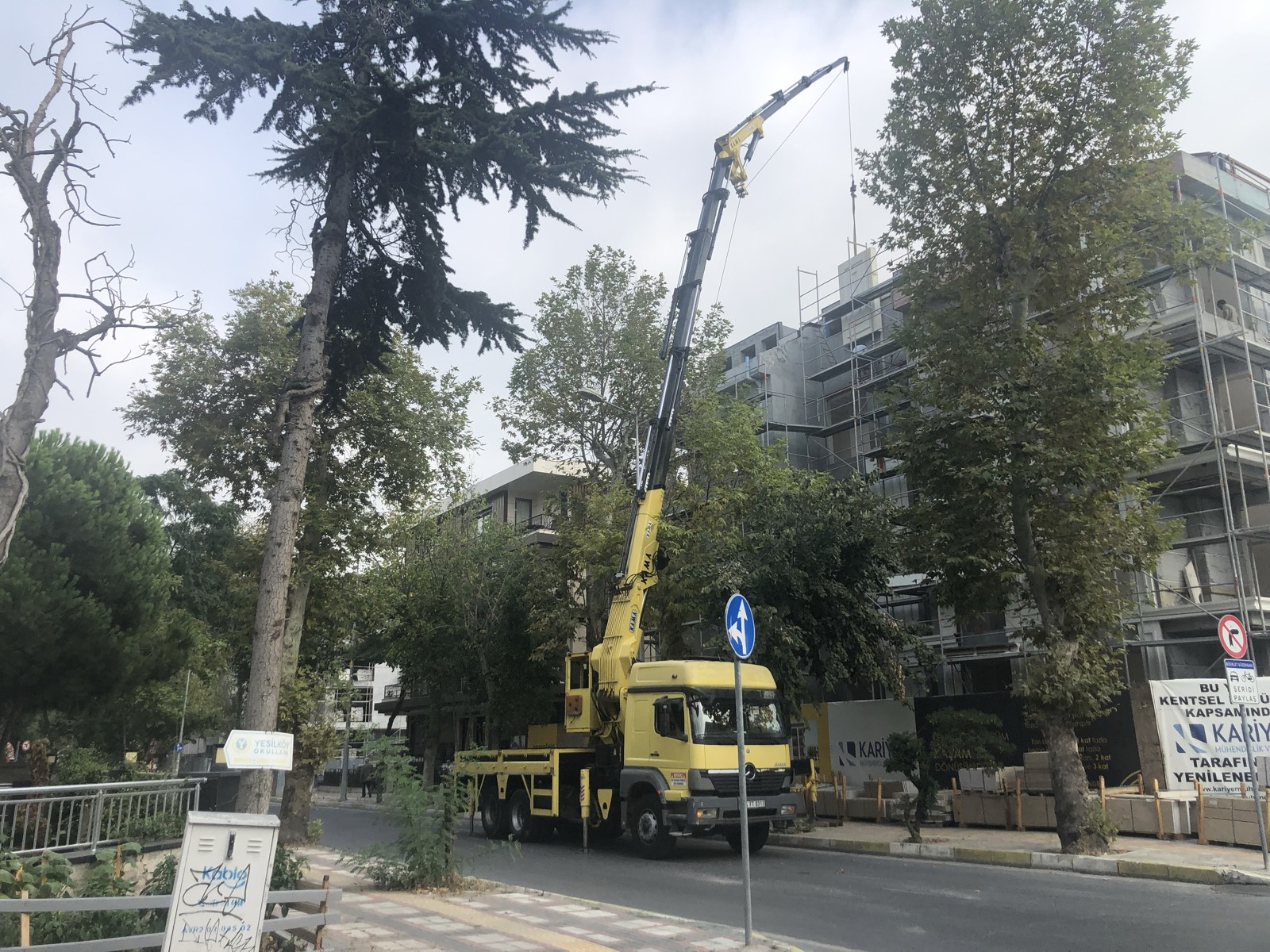 Yeşilköy Sepetli Vinç Kiralama Süreci: Adım Adım Rehber – Yeşilköy bölgesinde Doruk Vinç saha çalışması
